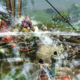 Illustration for article titled emGuild Wars 2/em: The emKotaku/em Review